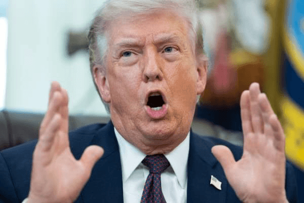 content image 2
