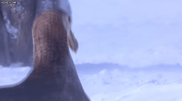 content image 3