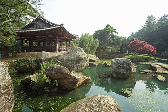 content image 4