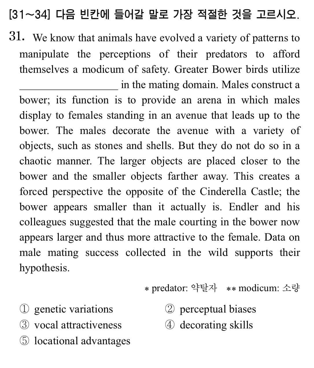 content image 3