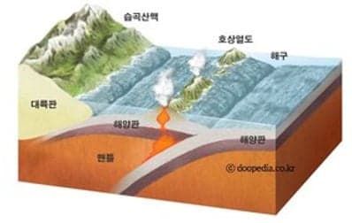 content image 1